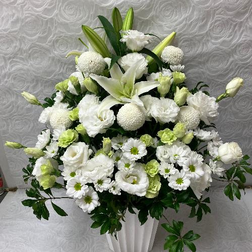 �G���K���g�Ȃ������A�����W2