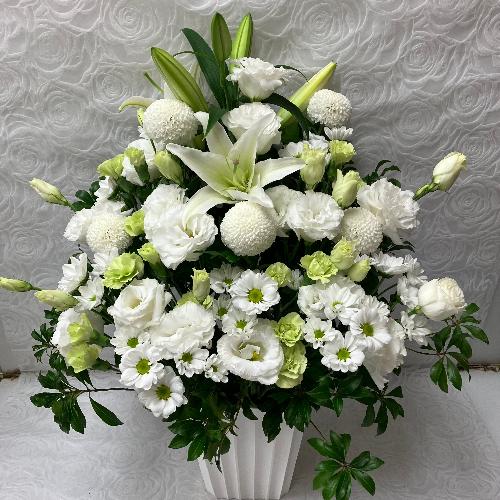 �G���K���g�Ȃ������A�����W3