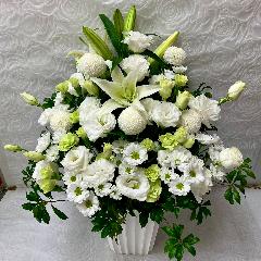 �G���K���g�Ȃ������A�����W