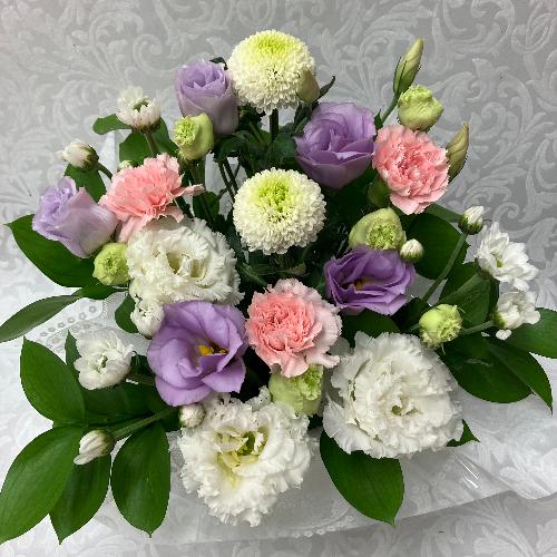 �䋟�E�s���N���p�[�v���A�����W