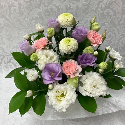 �䋟�E�s���N���p�[�v���A�����W3