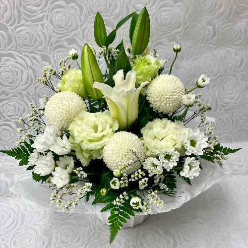 �䋟�E���^�ȃz���C�g�A�����W3