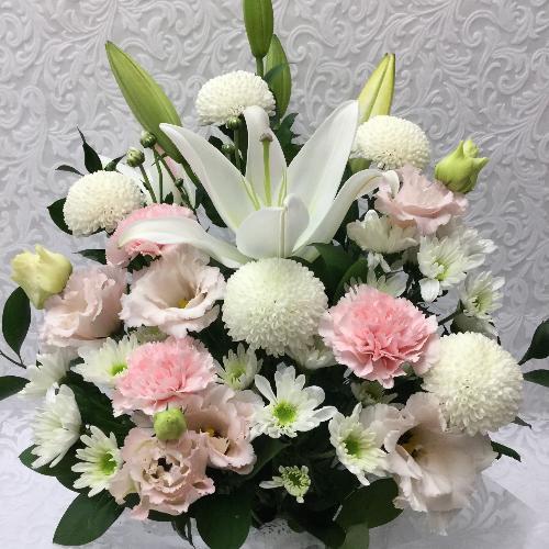 �䋟�E�z���C�g�s���N�A�����W2