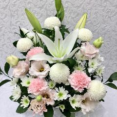 �䋟�E�z���C�g�s���N�A�����W