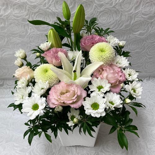 �s���N����A�����W