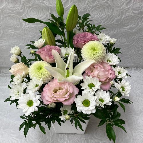 �s���N����A�����W2