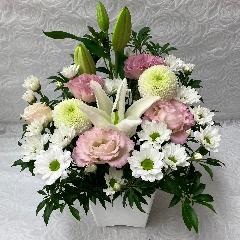 �s���N����A�����W
