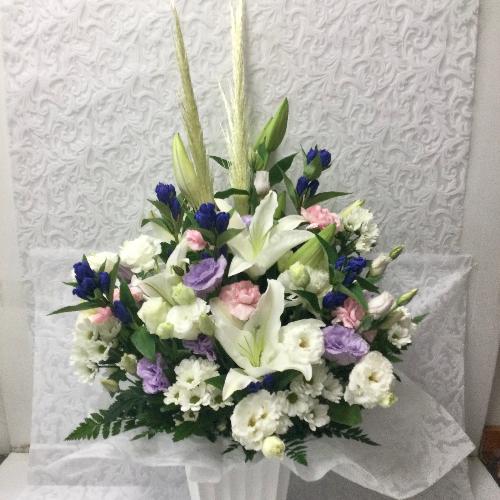 �䋟�E���؂ȃp���p�X����A�����W