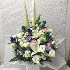 �䋟�E���؂ȃp���p�X����A�����W