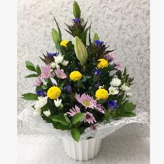 �䋟�E�F����A�����W