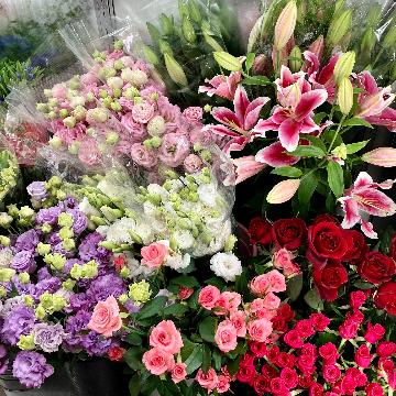 �X�^�b�t�摜
