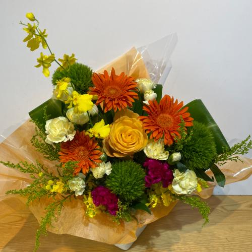 �I�����W�̃K�[�x���Ɖ��F���L���C�ȃA�����W�����g�@�i�o������j