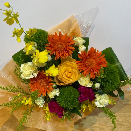 �I�����W�̃K�[�x���Ɖ��F���L���C�ȃA�����W�����g�@�i�o������j2