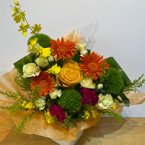 �I�����W�̃K�[�x���Ɖ��F���L���C�ȃA�����W�����g�@�i�o������j3