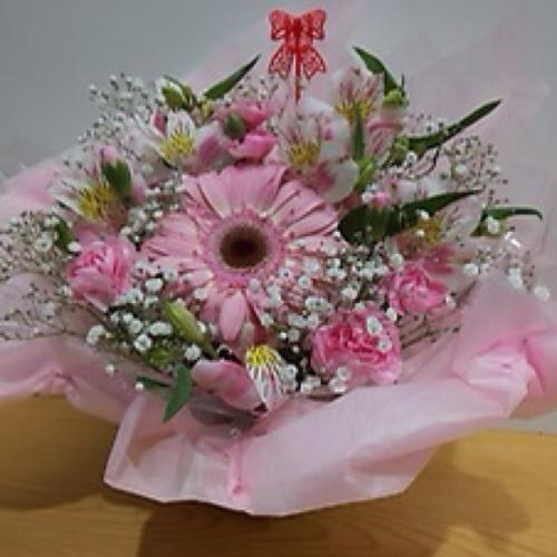 �s���N�s���N�̉������킢���A�����W�����g�@3