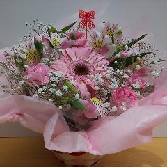 �s���N�s���N�̉������킢���A�����W�����g�@