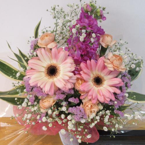 �K�[�x���������I�L���[�g�A�����W�����g2