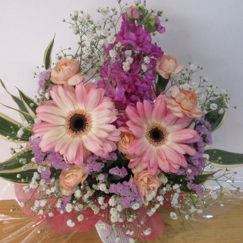 �K�[�x���������I�L���[�g�A�����W�����g4