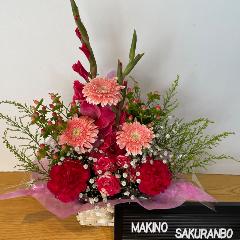 �s���N����ɓ��ꂽ�L���[�g�ō��؂ȃA�����W�����g
