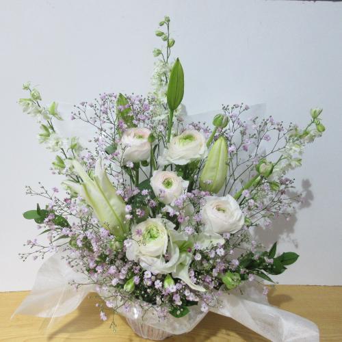 �l�C�I�s���N�����ĉ����������A�����W�����g
