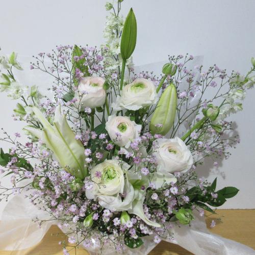 �l�C�I�s���N�����ĉ����������A�����W�����g3