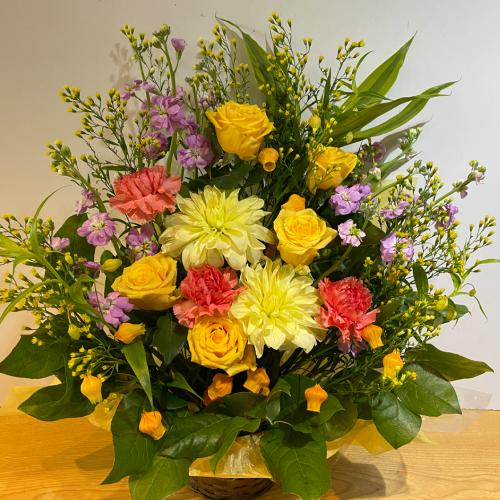 �o���ƃ_���A�̍��؂ȃA�����W�����g�I�@�C�G���[�I�����W�n