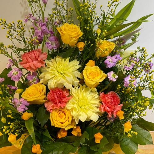 �o���ƃ_���A�̍��؂ȃA�����W�����g�I�@�C�G���[�I�����W�n3