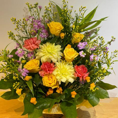 �o���ƃ_���A�̍��؂ȃA�����W�����g�I�@�C�G���[�I�����W�n4