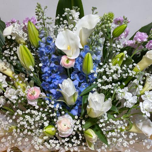 �ƂĂ��L���C�ō��؂Ȃ������A�����W�����g�I�i���d�̔��S������j6