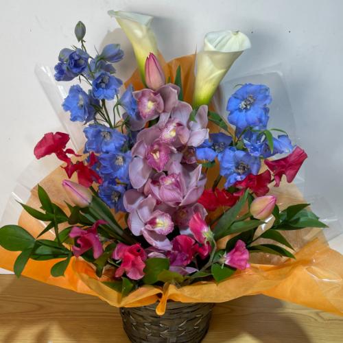 ����������V���s�W���[���ƃJ���[�̃A�����W�����g3