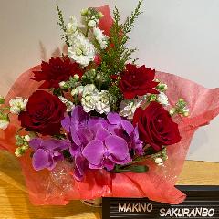 �Ԃ��o���ƌӒ������ƂĂ����؂ȃA�����W�����g