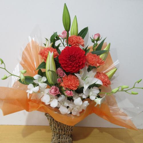 �S���ƃ_���A���L���C�ȍ��؂ȃA�����W�����g