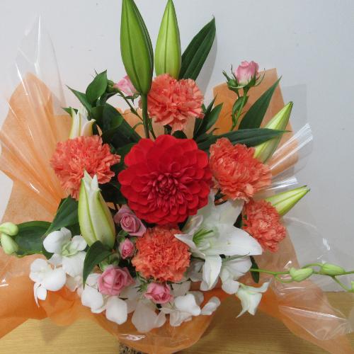 �S���ƃ_���A���L���C�ȍ��؂ȃA�����W�����g3