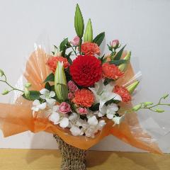 �S���ƃ_���A���L���C�ȍ��؂ȃA�����W�����g