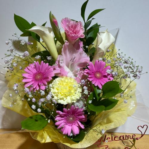 �J���[�ƃs���N���ƂĂ������A�����W�����g2