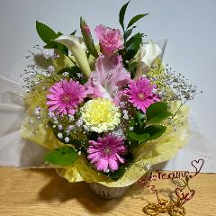�J���[�ƃs���N���ƂĂ������A�����W�����g
