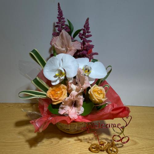 �K���̌Ӓ����ƃI�����W�̖��邢�o���̃A�����W�����g2