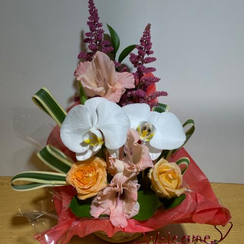 �K���̌Ӓ����ƃI�����W�̖��邢�o���̃A�����W�����g3