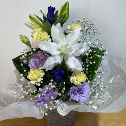 �g���R�L�L���E�Ƃ����ݑ��̂������A�����W�����g4