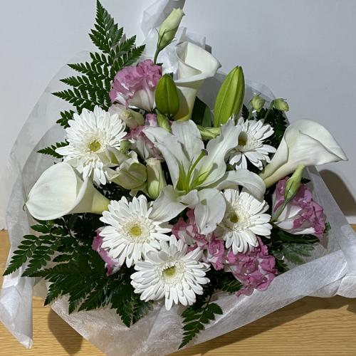 �K�[�x���ƕS���̔��̂������A�����W�����g�I2