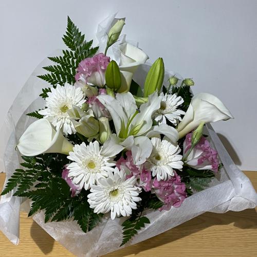 �K�[�x���ƕS���̔��̂������A�����W�����g�I3