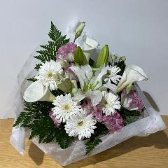 �K�[�x���ƕS���̔��̂������A�����W�����g�I