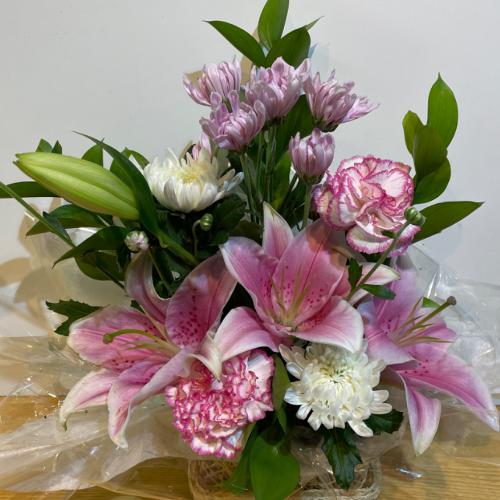 �s���N����Ɏg�����������A�����W�����g�I5
