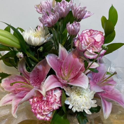 �s���N����Ɏg�����������A�����W�����g�I6