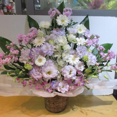 �ƂĂ��ƂĂ����؁I�s���N�ƃp�[�v���̂������A�����W�����g