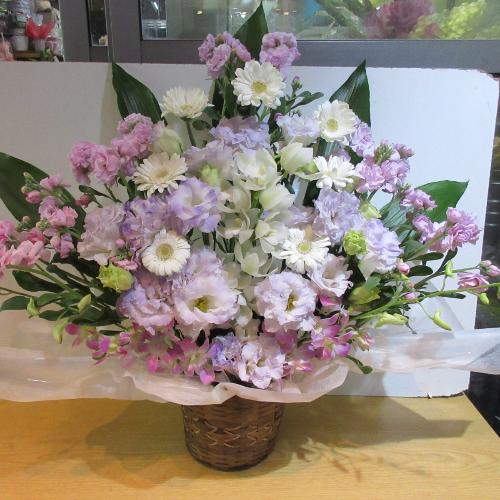 �ƂĂ��ƂĂ����؁I�s���N�ƃp�[�v���̂������A�����W�����g2
