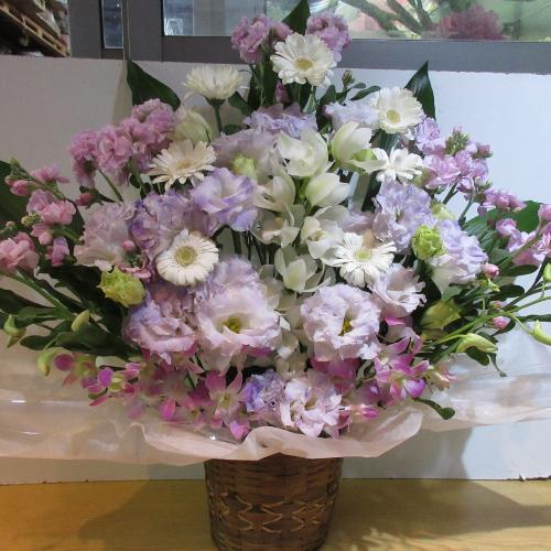 �ƂĂ��ƂĂ����؁I�s���N�ƃp�[�v���̂������A�����W�����g5