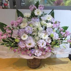 �ƂĂ��ƂĂ����؁I�s���N�ƃp�[�v���̂������A�����W�����g