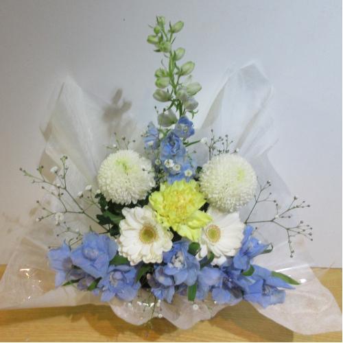 �g�g���咆�� �G���K���gBOX ��