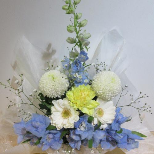 �g�g���咆�� �G���K���gBOX ��5